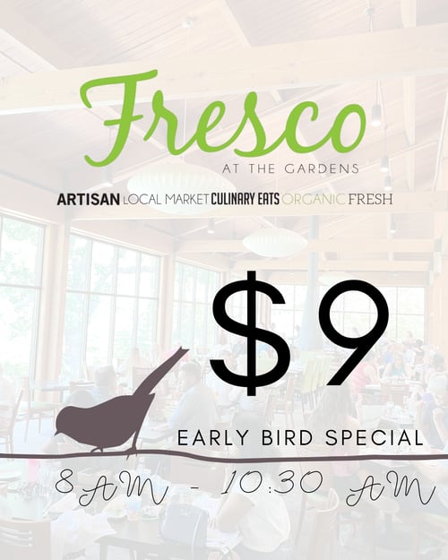 Fresco - Early Bird Special